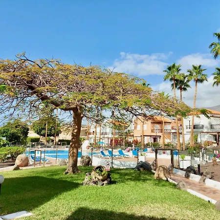 Apartment Mango Beach Resort Costa Adeje (Tenerife)